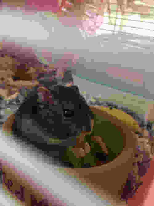 11岁可爱女孩的小jiojio,女生好看的小jiojio底 小jiojio好可爱