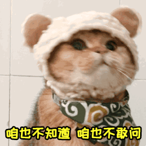 送你一个表情包,莓莓接好了