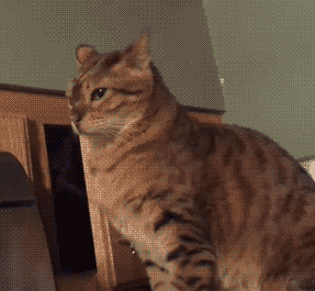 0 举报3楼2019-10-06 回复 分手大法 ?