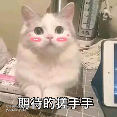 解说 头鱼教主的鱼吧 斗鱼鱼吧 解说 头鱼教主的鱼吧 斗鱼鱼吧