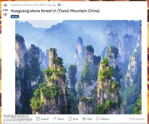 大半年后 老外终于知道 原神 华光林原型 大呼 我要去中国 手游中心的鱼吧 斗鱼鱼吧